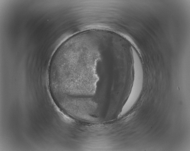 X0000063460999200602101709