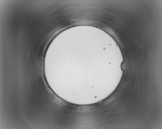 X0000063461000200602101709