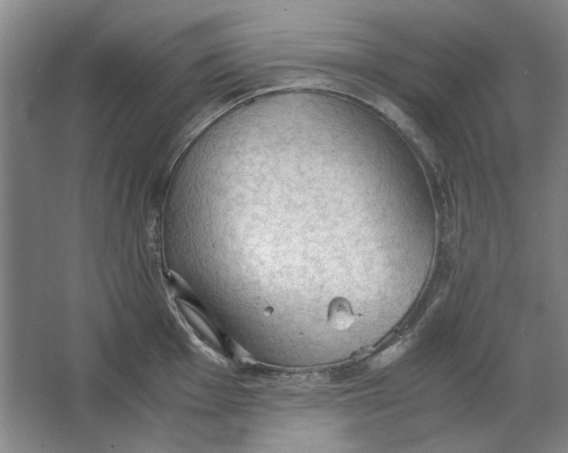 X0000063461001200602101709