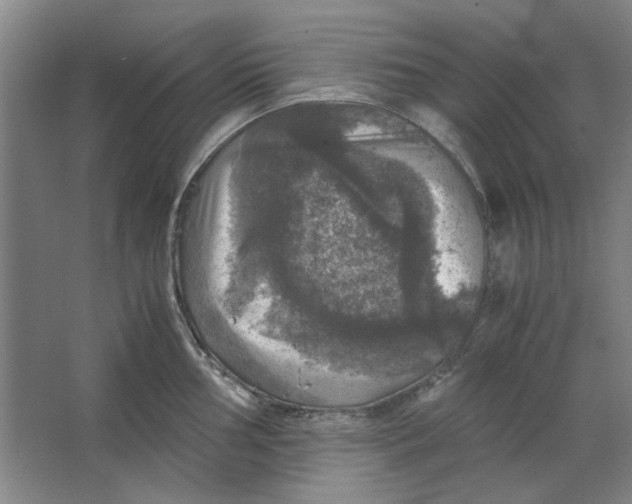 X0000063461002200602101709