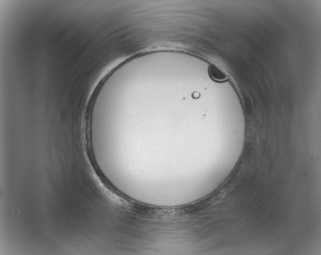 X0000063461003200602101709