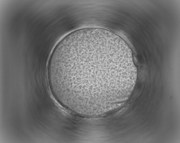 X0000063461004200602101709