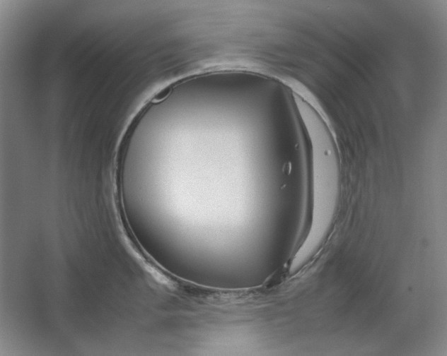 X0000063461005200602101709