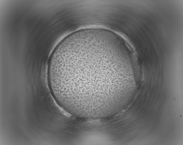 X0000063461006200602101709