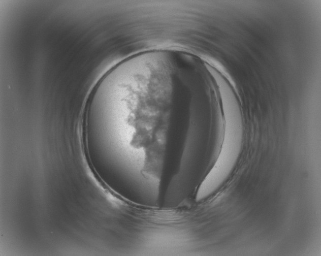 X0000063461007200602101709