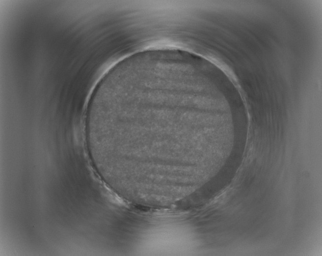 X0000063461008200602101709