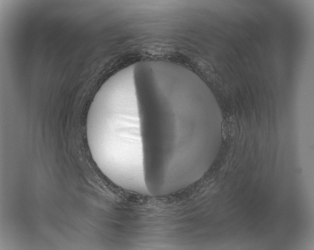 X0000063461009200602101709