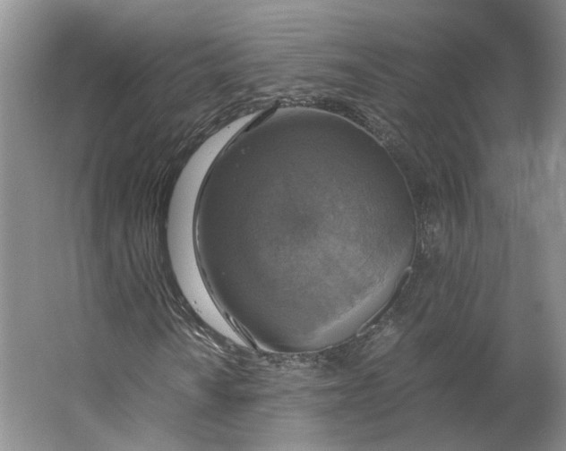 X0000063461010200602101709