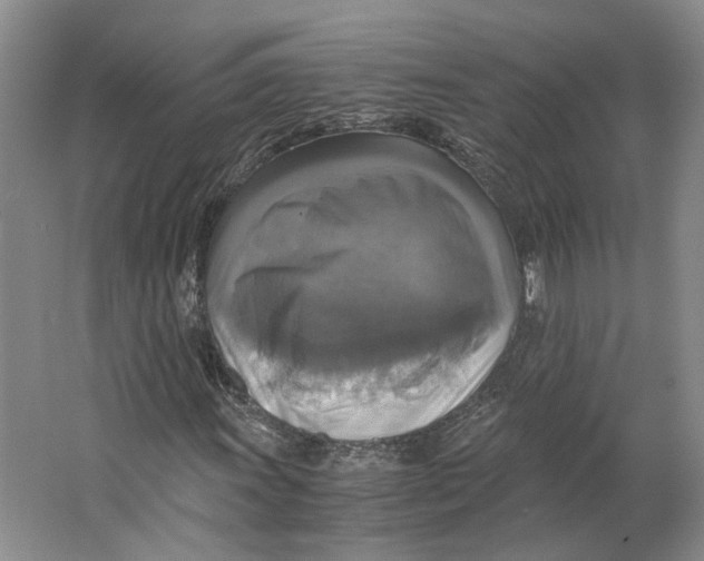 X0000063461011200602101709