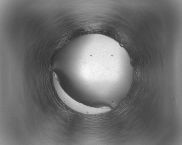 X0000063461012200602101709