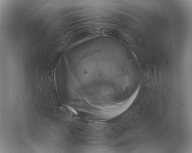 X0000063461013200602101709