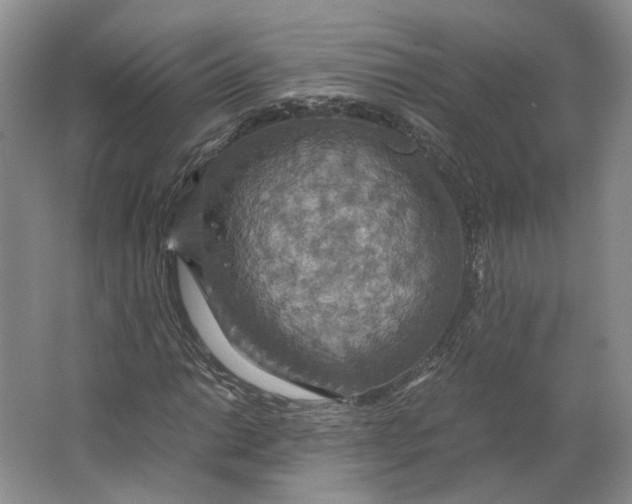 X0000063461014200602101709