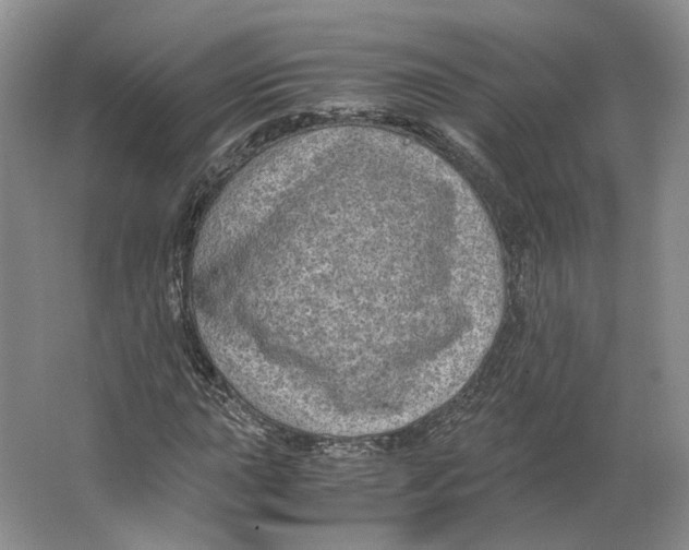 X0000063461015200602101709