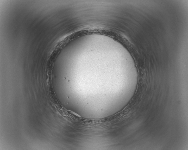 X0000063461016200602101709