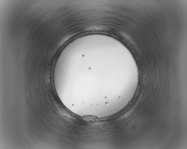 X0000063461017200602101709