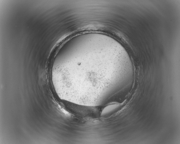 X0000063461018200602101709