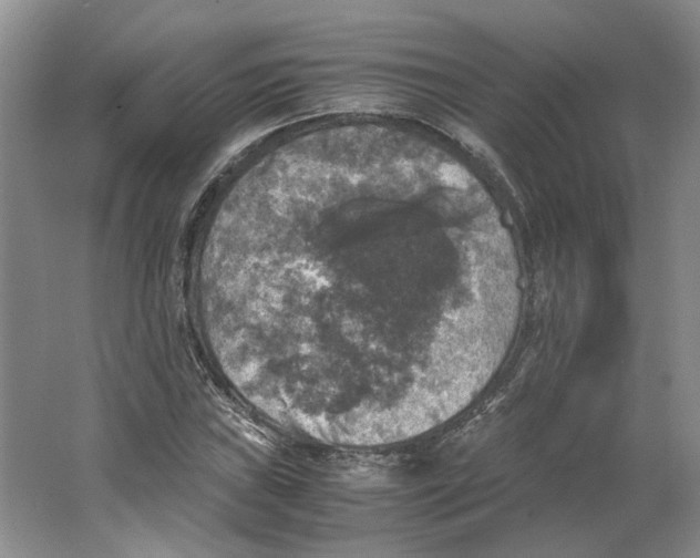 X0000063461019200602101709