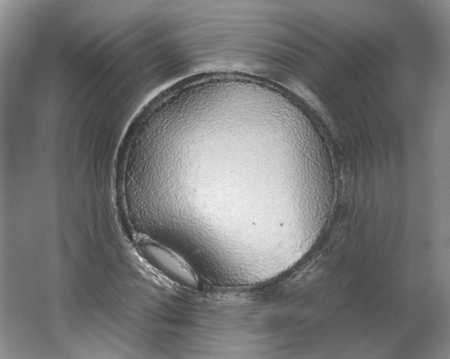 X0000063461020200602101709