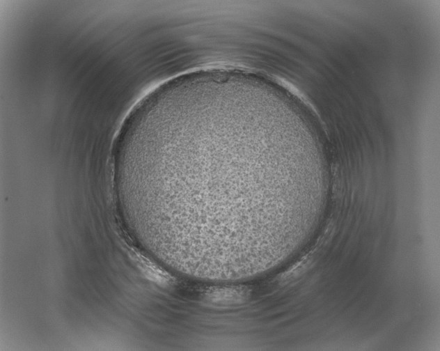 X0000063461021200602101709