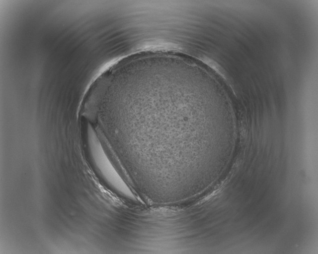 X0000063461022200602101709