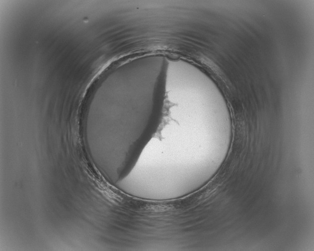 X0000063461023200602101709