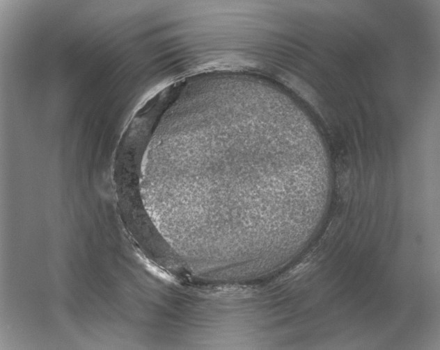 X0000063461026200602101709