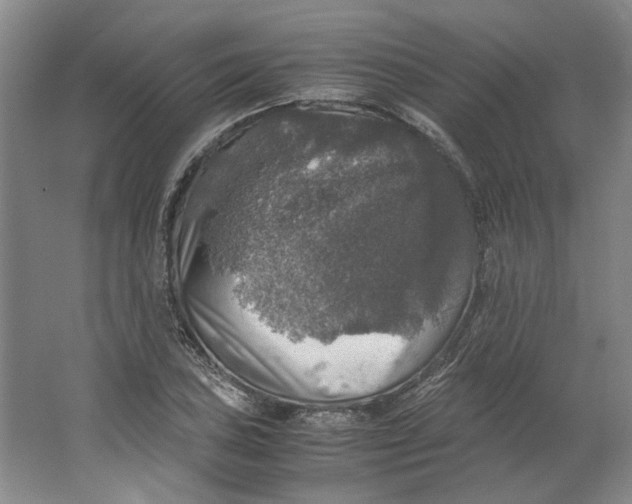 X0000063461027200602101709