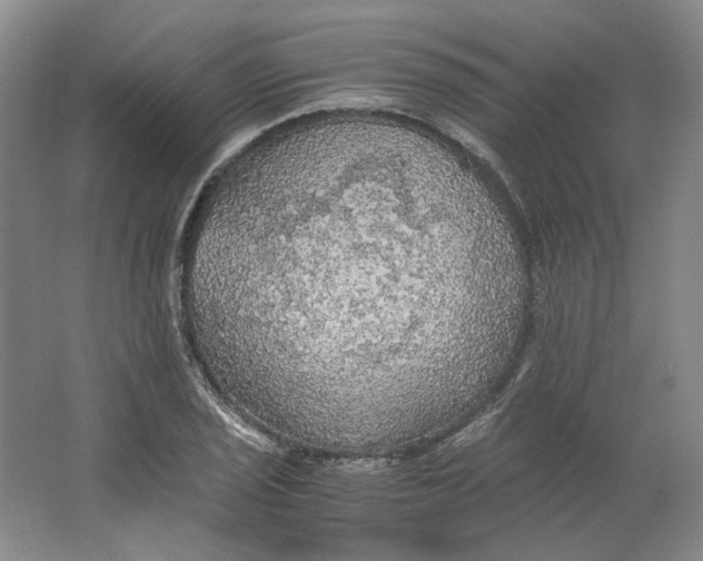 X0000063461029200602101709