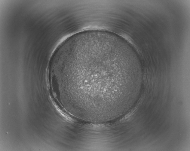 X0000063461030200602101709