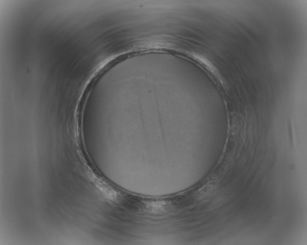 X0000063461031200602101709