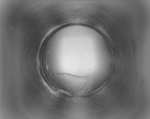 X0000063461032200602101709