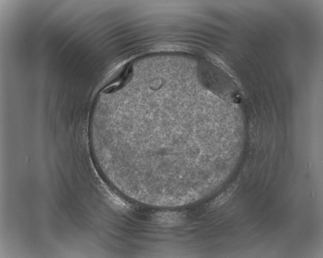 X0000063461033200602101709