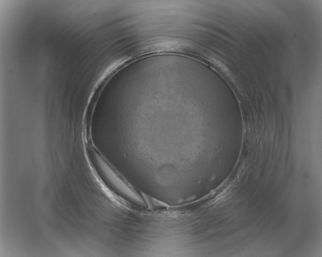 X0000063461034200602101709