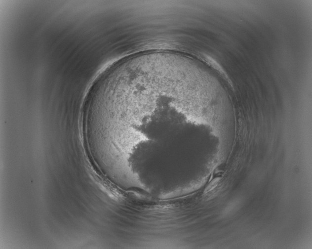 X0000063461035200602101709