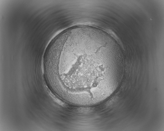 X0000063461036200602101709