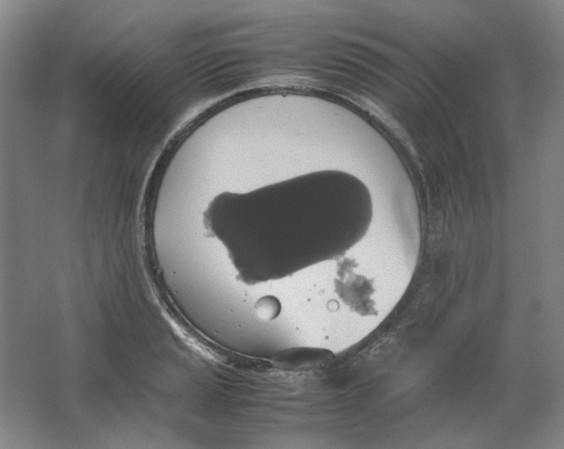 X0000063461037200602101709