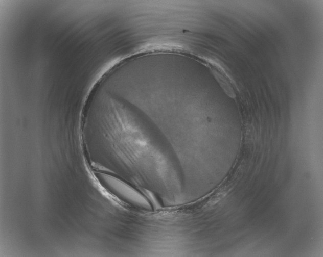 X0000063461038200602101709