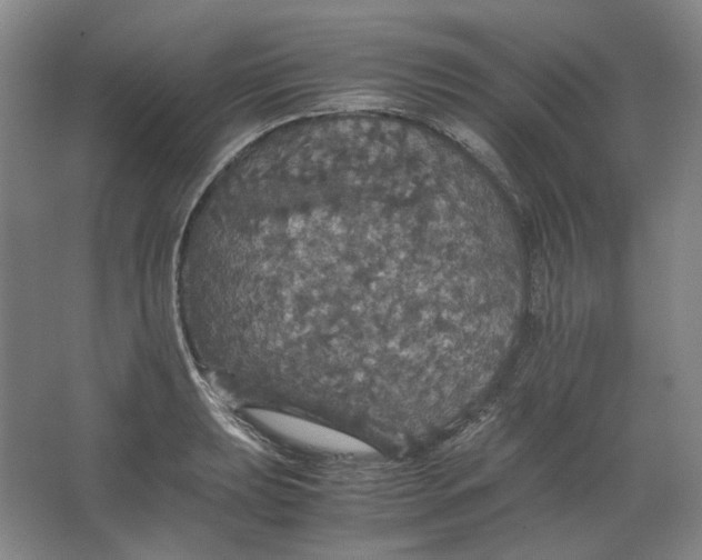 X0000063461039200602101709