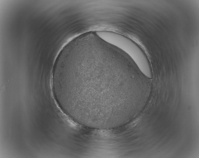 X0000063461040200602101709