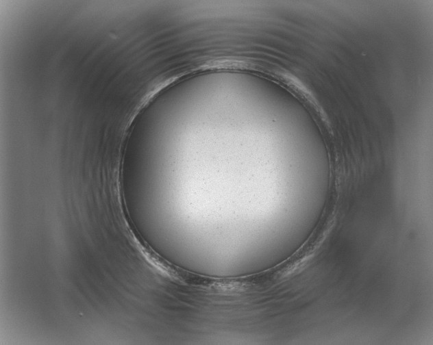 X0000063461041200602101709