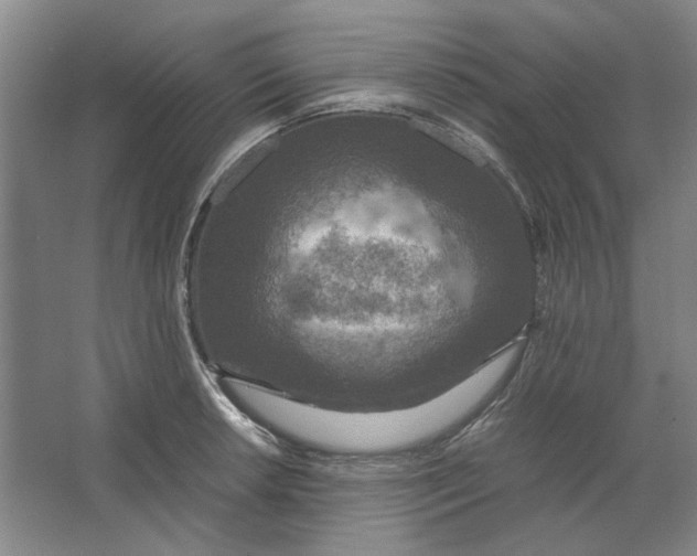 X0000063461042200602101709