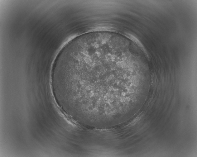 X0000063461043200602101709