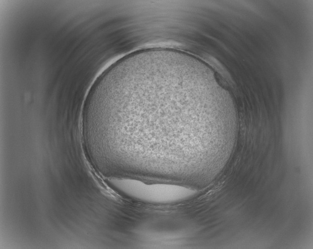 X0000063461044200602101709