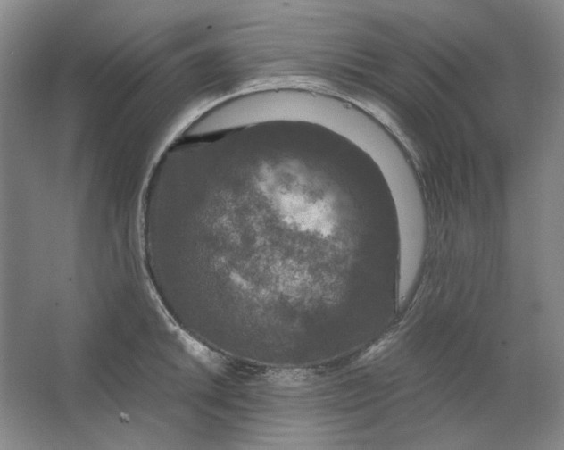 X0000063461046200602101709