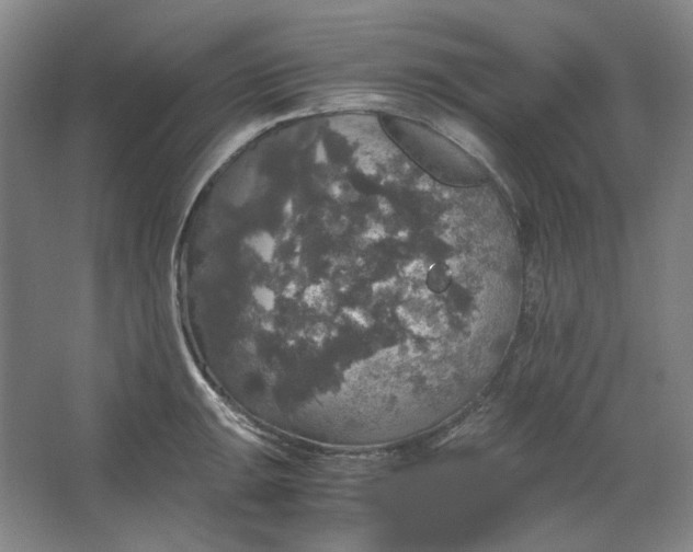 X0000063461047200602101709