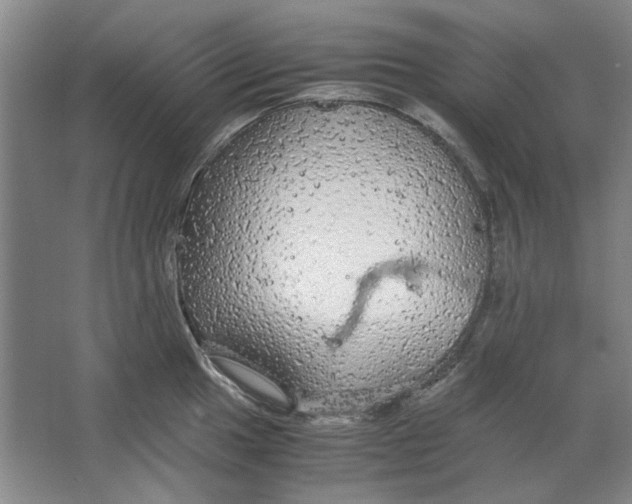 X0000063461049200602101709