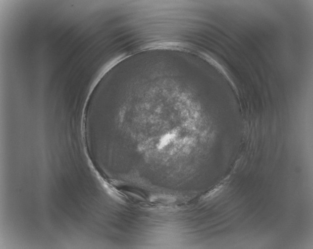 X0000063461050200602101709