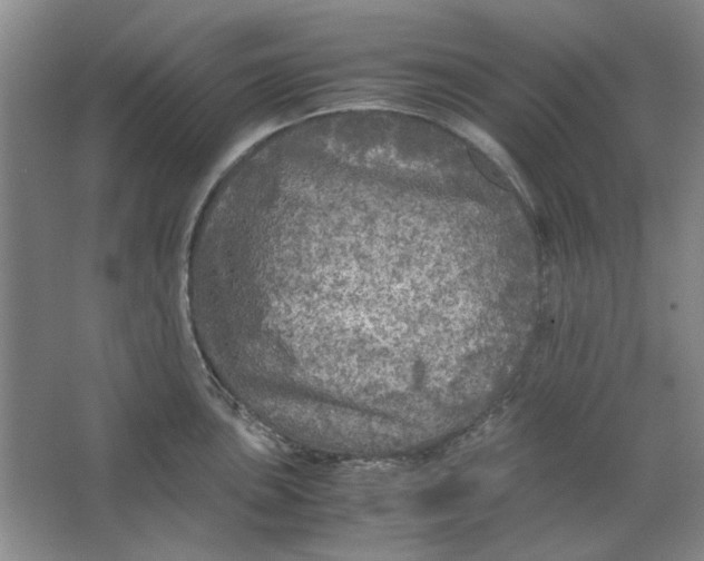 X0000063461051200602101709