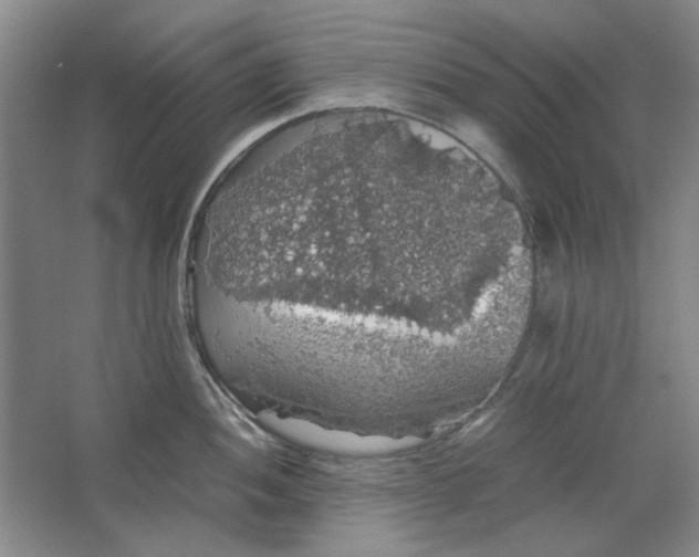 X0000063461052200602101709