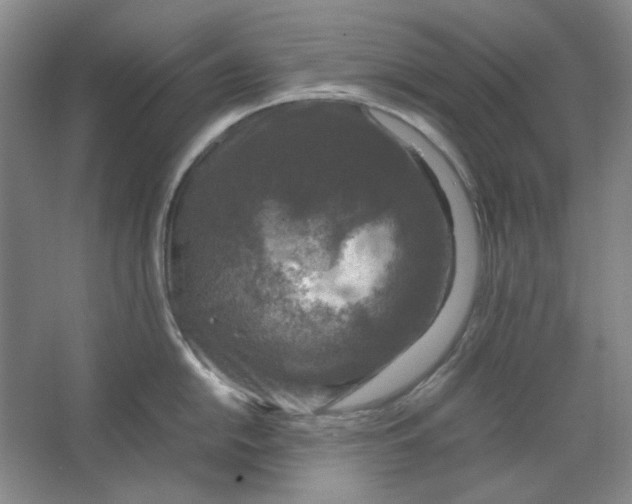 X0000063461054200602101709